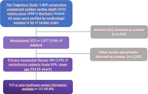 Primordial Symptoms and ECG Among Sudden Cardiac Death Victims Due to Primary Myocardial Fibrosis