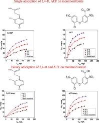 Investigation of montmorillonite clay for its potential application for pesticides adsorption in single and binary systems