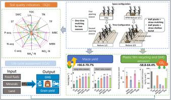 Weakening plasticulture boosts maize productivity while improving environmental benefits in drying east African Plateau