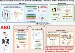 Sputum Microbiota Correlates With Metabolome and Clinical Outcomes in Asthma–Bronchiectasis Overlap