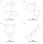 In silico and in vitro characterisation and affinity maturation of human red blood cell binding aptamers†