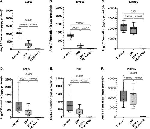 Myocardial and Renal Renin–Angiotensin System Enzyme Activity in Dogs