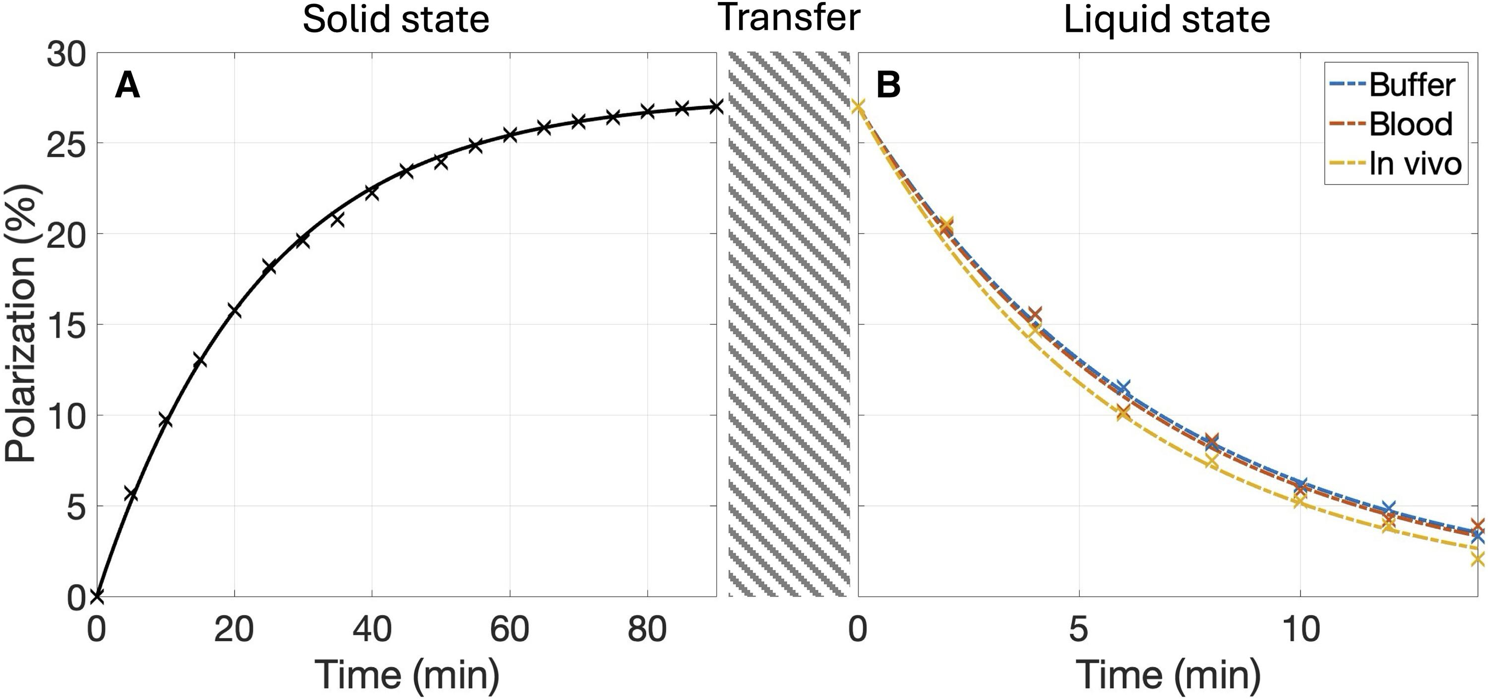 Dynamic, multiphase magnetic resonance imaging of in vivo physiological processes with long-lived hyperpolarized 15N,d9-betaine