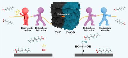 Quaternized hierarchical porous activated carbon derived from waste cork for efficient adsorption of per-/polyfluoroalkyl substances