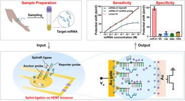 Ultrasensitive detection of miRNA with single-nucleotide resolution using a high-electron-mobility transistor biosensor combined with splint-ligation
