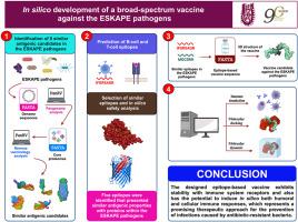 In silico development of a broad-spectrum vaccine against ESKAPE pathogens