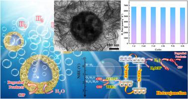 Perovskite-based SrTiO3/ZnIn2S4 hollow core-shell flower-shaped heterojunction for photocatalytic H2 evolution/degradation enhancement via bimetallic synergy and interface potential regulation
