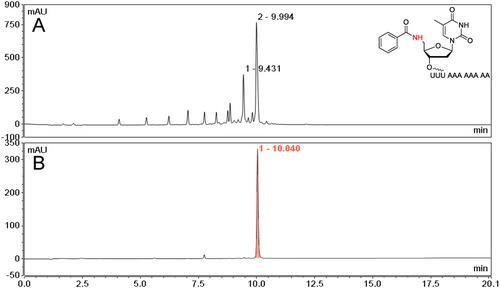 An Aqueous-Compatible On-Column Approach for the Conjugation of Nucleic Acids Using Amino Modifiers