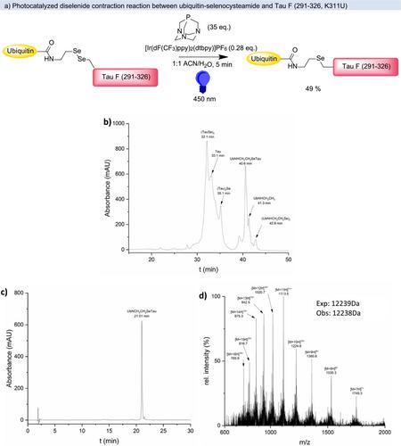Photocatalytic Diselenide Contraction as a Tool for Site-Selective Isosteric Ubiquitylation