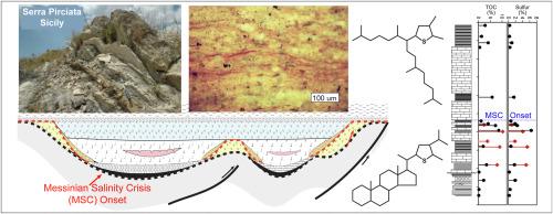 Onset of the Messinian Salinity Crisis: Insights from molecular organic geochemistry
