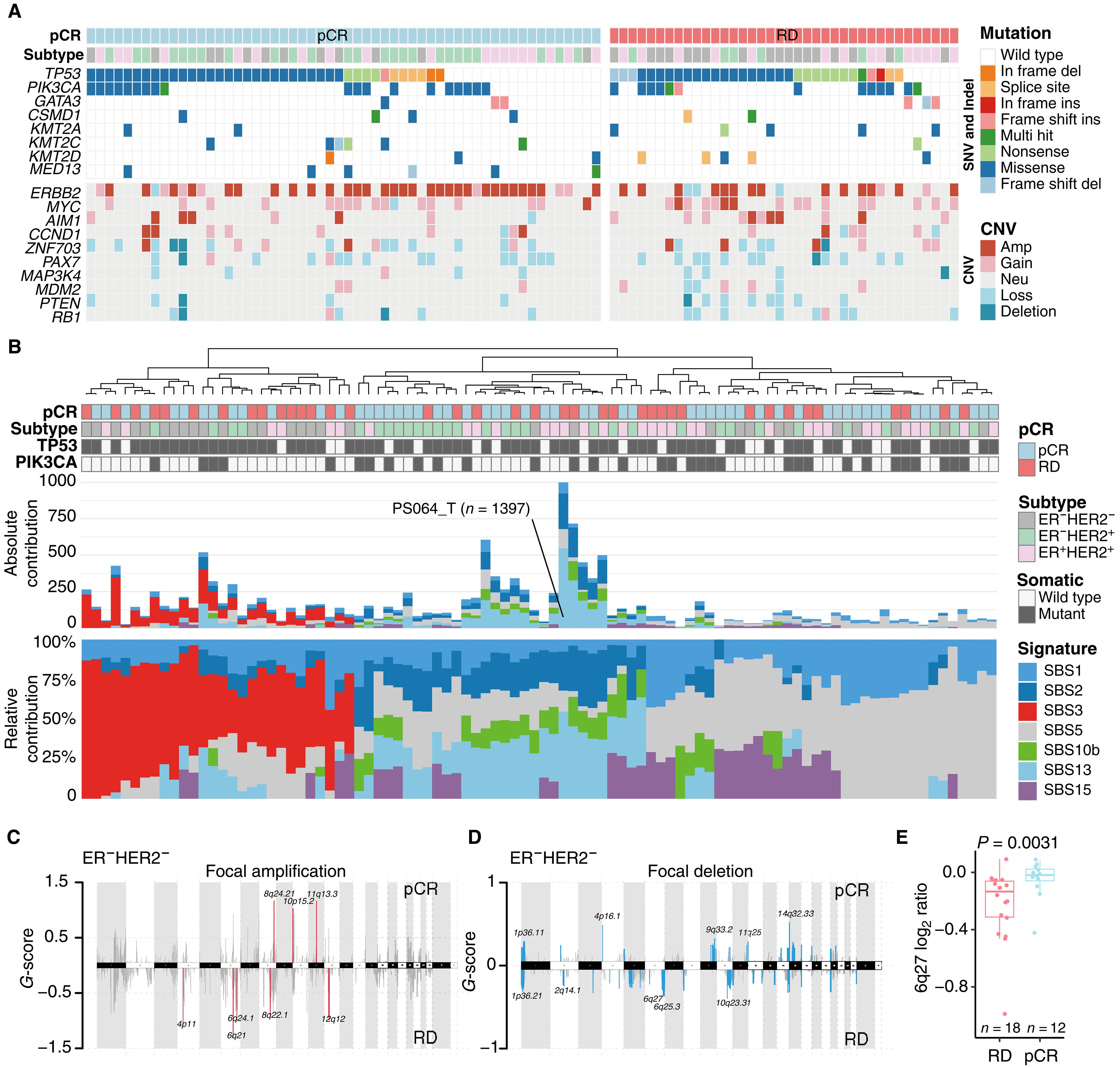 Multiomic integration reveals subtype-specific predictors of neoadjuvant treatment response in breast cancer