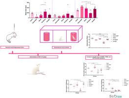 Acute ketamine enhances social behavior and dendritic plasticity in the amygdala by increasing BDNF, GAP43, and TRKB presence following excitotoxic neonatal ibotenic acid lesion