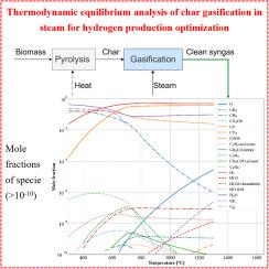 Biomass char gasification for hydrogen production: A thermodynamic equilibrium analysis