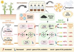 Nitrogen-induced suppression of methane uptake is alleviated by biochar in a subtropical forest soil