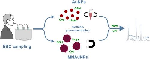 Capillary electrophoresis with laser induced fluorescence for the analysis of biological thiols in exhaled breath condensate after preconcentration using gold and gold-grafted magnetic nanoparticles