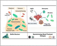 Mechanistic insights and therapeutic innovations in engineered nanomaterial-driven disruption of biofilm dynamics