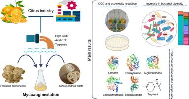A step into circular economy: Mycoaugmentation strategy for citrus wastewater management and value-added biocompound production