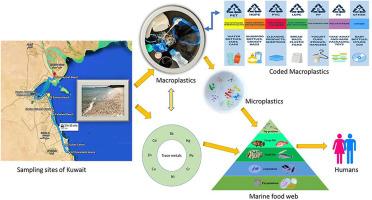 Impact of hydrophobic additives in macroplastics and trace metal contamination on Kuwait's coastal beaches