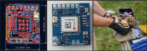 Low-cost, LoRa GNSS tracker for wildlife monitoring
