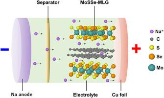 Multilayered grapheneembedded 2D MoSxSey (x: y=1:3 and 2:1) cathode engineering for high-performance sodium sulfur-selenium hybrid battery