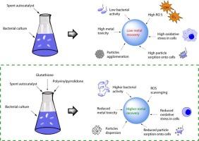 Reducing oxidative stress in bacteria and suppressing microbial-metal interaction enhance bioleaching of platinum group metals at a high pulp density