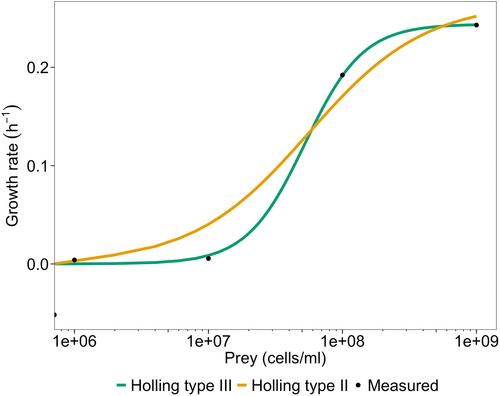 Developing Lotka–Volterra Based Models to Describe Bdellovibrio Predation in a Batch and Chemostat Experimental System