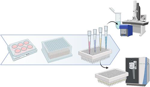 A 96-Well Ultrafiltration Approach for the High-Throughput Proteome Analysis of Extracellular Vesicles Isolated From Conditioned Medium