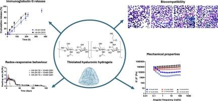 Stimuli-sensitive hyaluronic acid hydrogels for localized and controlled release of antibodies