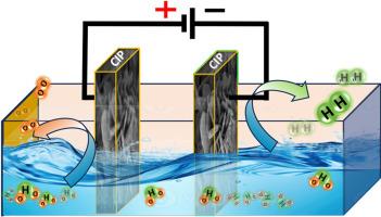 Bi-metallic phosphate: Active and stable bifunctional electrocatalysts for alkaline overall water splitting