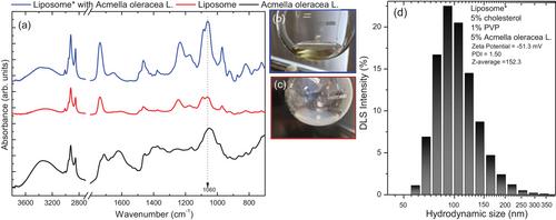 Synthesis and Characterization of Stealth Liposomes for Acmella oleracea L. Encapsulation