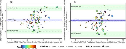 Novel Algorithm to Estimate Fat-Free Muscle Volumes in Women Using the Urinary Deuterated-Creatine Dilution Method