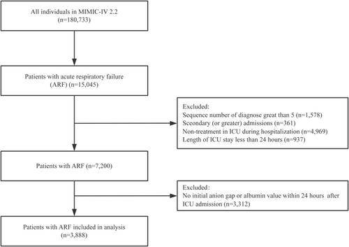 Association Between Albumin Corrected Anion Gap and 28-Day All-Cause Mortality in Patients With Acute Respiratory Failure in ICU: A Retrospective Study Based on the MIMIC-IV Database