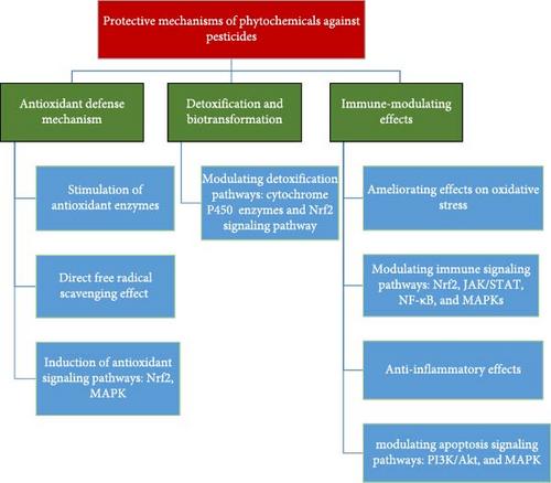Mechanisms of Pesticide Toxicity in Fish: Insights Into the Ameliorative Role of Plant-Derived Compounds—A Review
