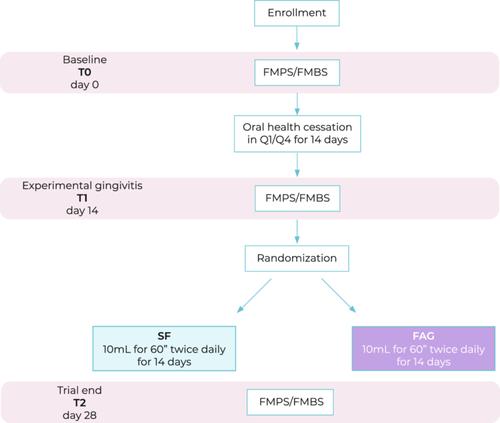 Noninferiority Randomized Controlled Clinical Trial Assessing the Antiplaque Efficacy of Fatty Acids–Based Mouthrinse