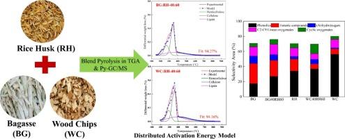 Pyrolysis of rice husk, bagasse and wood chips blends: Distributed activation energy modelling and pyrolysate composition analysis