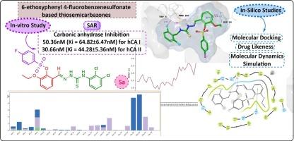 Synthesis of 6-ethoxyphenyl 4-fluorobenzenesulfonate-tagged thiosemicarbazones as carbonic anhydrase inhibitors: In-vitro and in silico approach