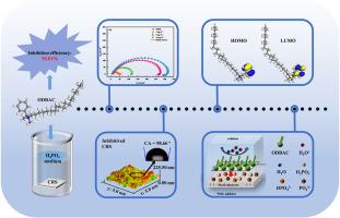 Adsorption behavior and inhibition performance of octadecyl dimethyl benzyl ammonium chloride on steel surface in phosphoric acid medium: Experimental and theoretical investigations