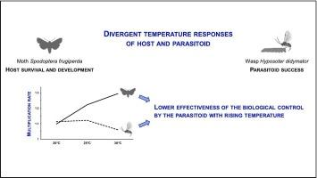 Divergent responses of the fall armyworm and a parasitoid to rising temperature
