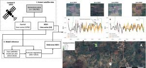 Continuous anomaly detection using remote sensing to monitor on-farm restoration in sub-Saharan Africa