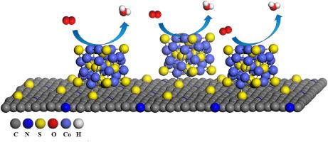 Preparation and insight into efficient catalytic properties at electronic/molecular level for metal sulfide modified carbon material