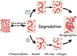 Uncovering three-body competition of chain growth, degradation and re-aggregation for polyphenylacetylenes during solution polymerization†