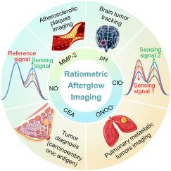 Ratiometric afterglow luminescence: Emerging paradigm for reliable quantitative bio-imaging and disease monitoring
