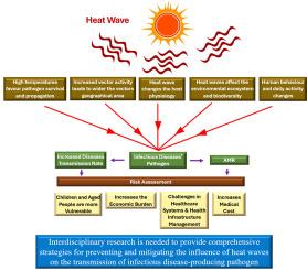 Deciphering the impact of heat wave in the global surge of infectious diseases