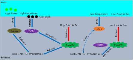 Seasonal changes-facilitated release of phosphorus and tungsten from the Lake Taihu sediments through reductive dissolution of Fe/Mn (hydr)oxides and competitive adsorption with dissolved organic matter