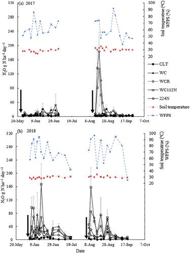 Winter cover crop integration on soil nitrogen loss from a subtropical warm-season pasture field and its potential mitigation