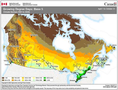 Optimizing canola production in the Northern Great Plains by leveraging genotype × environment × management synergies