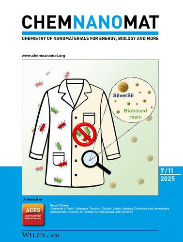 Front Cover: (ChemNanoMat 7/2025)