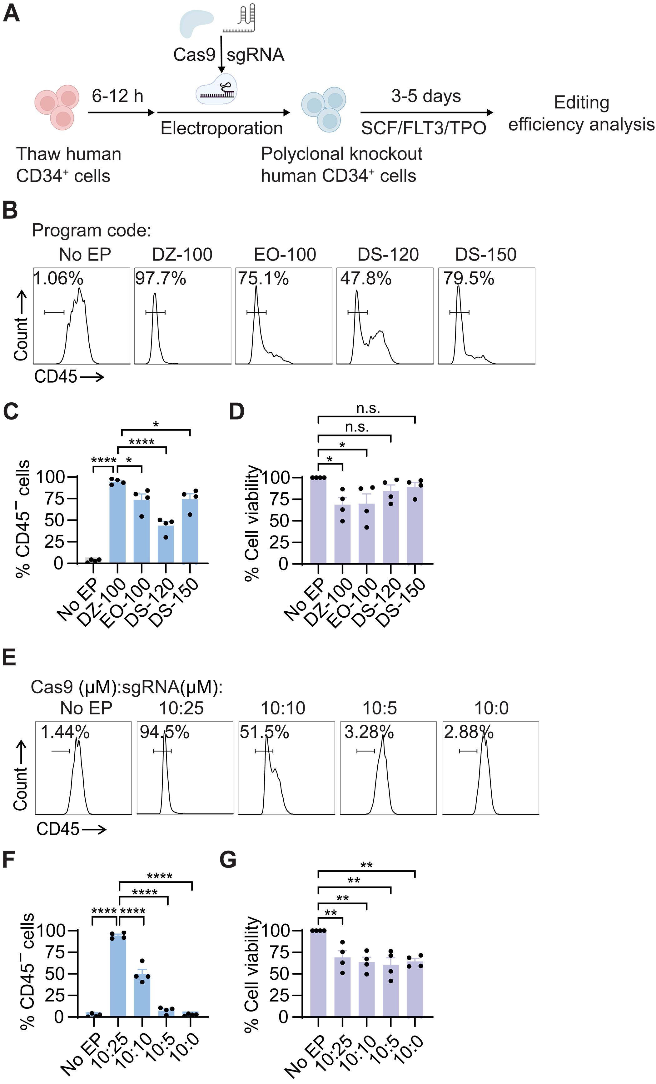 Establishment of a reverse genetics system for studying human immune functions in mice
