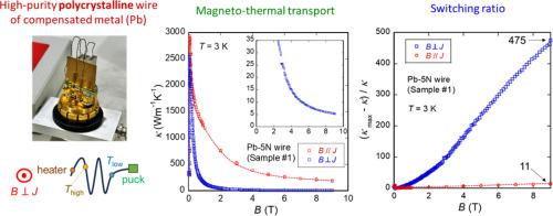 Huge anisotropic magneto-thermal switching in high-purity polycrystalline compensated metals