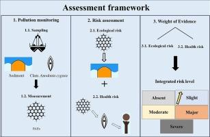 Assessing ecological and health risks of PAH compounds in Anzali Wetland: A weight of evidence perspective